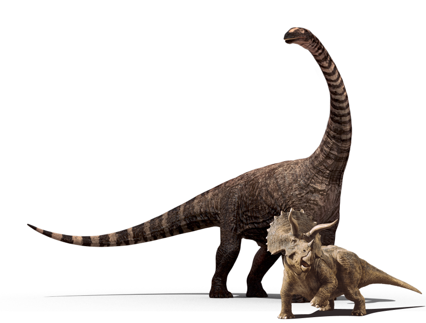 Set di figure di dinosauri - cifre del parco divertimenti