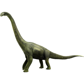 Mamenchiosauro
