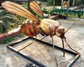 Каталог насекомых Комар фото