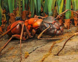 Deux Psittacosaures Le scarabée 3 Le travail que nous réalisons avec les figures est très varié