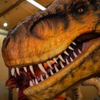 Tyrannosaurus - photo of an animatronic figure available