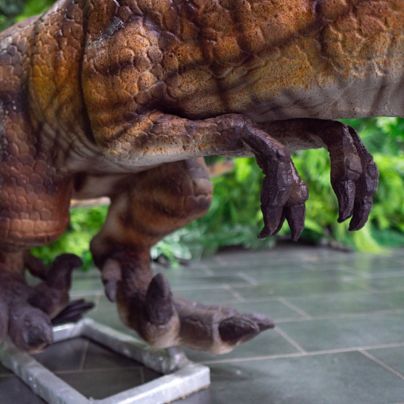 Velociraptor - foto de figura animatrónica en stock