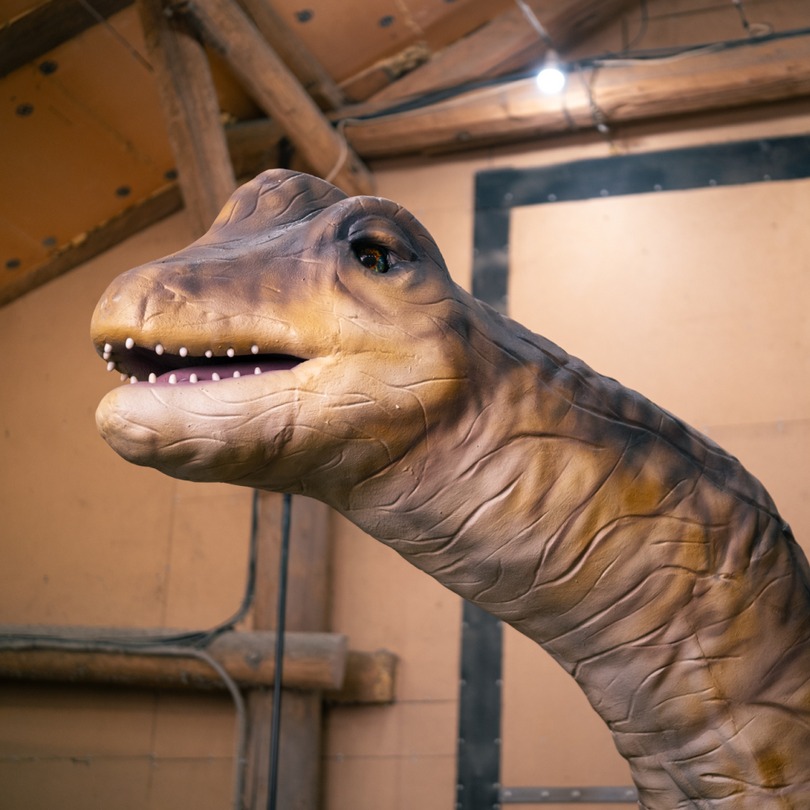 Testa di Brachiosaurus - foto della figura animatronica disponibile