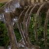 Tyrannosaurus skeleton - photo of a static figure available