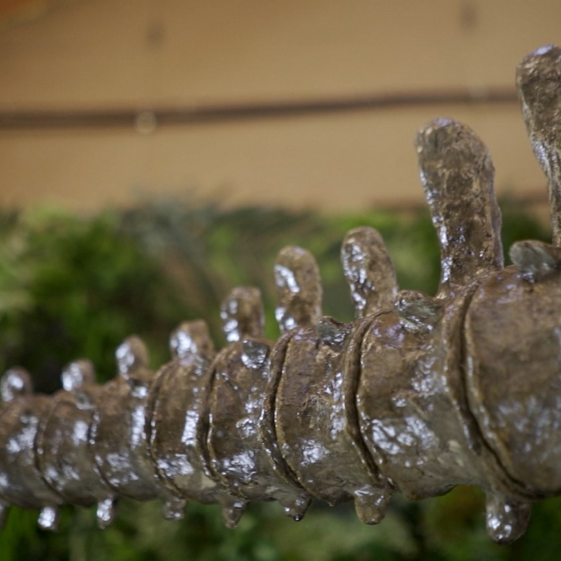 Esqueleto de un tiranosaurio: foto de una figura estática disponible