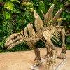 Скелет стегозавра - фото статичной фигуры в наличии