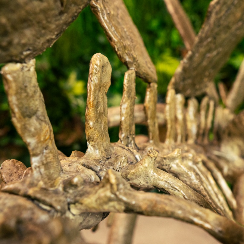 Scheletro di uno stegosauro - foto di una figura statica disponibile