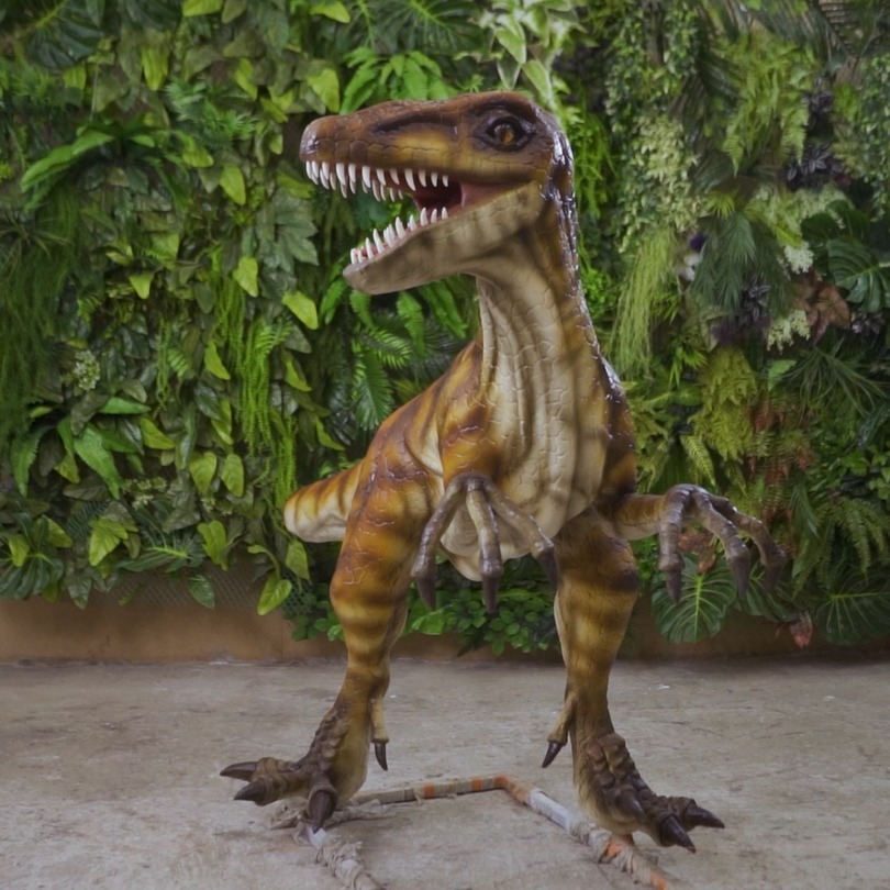 Velociraptor: foto della figura statica disponibile