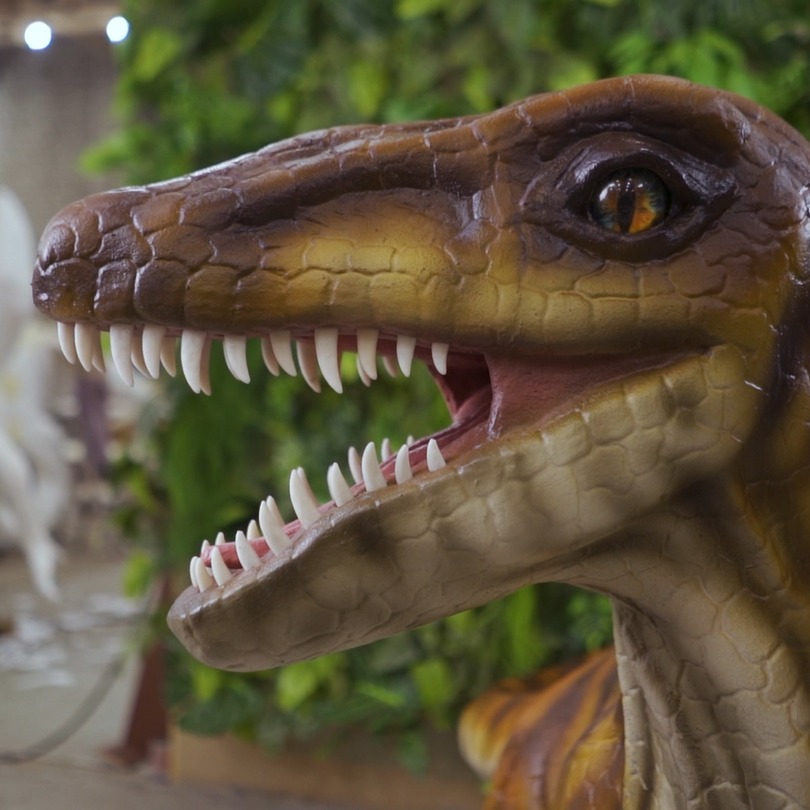 Velociraptor - foto de figura estática disponible