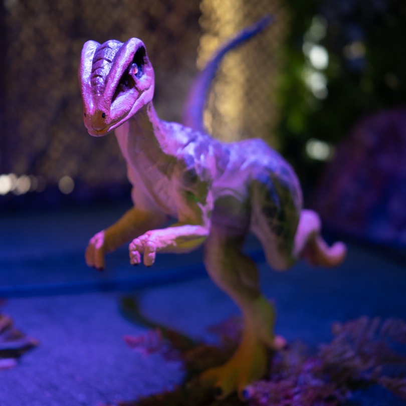 Compsognathus - foto de una figura estática disponible