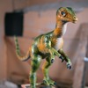 Compsognathus - foto de una figura estática disponible