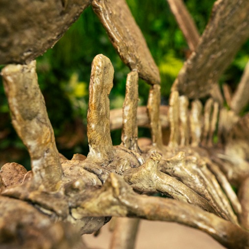 Скелет стегозавра - фото статичной фигуры в наличии