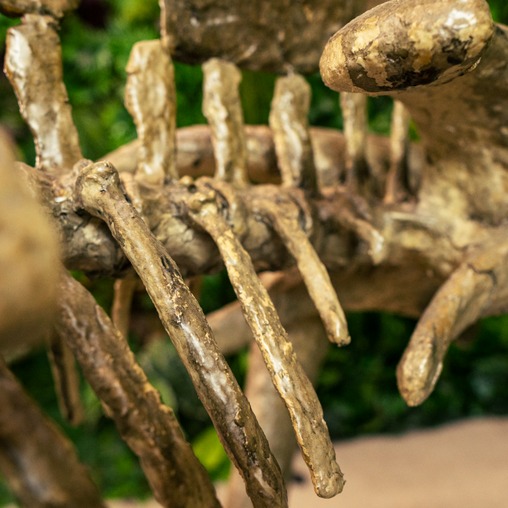 Скелет стегозавра - фото статичной фигуры в наличии