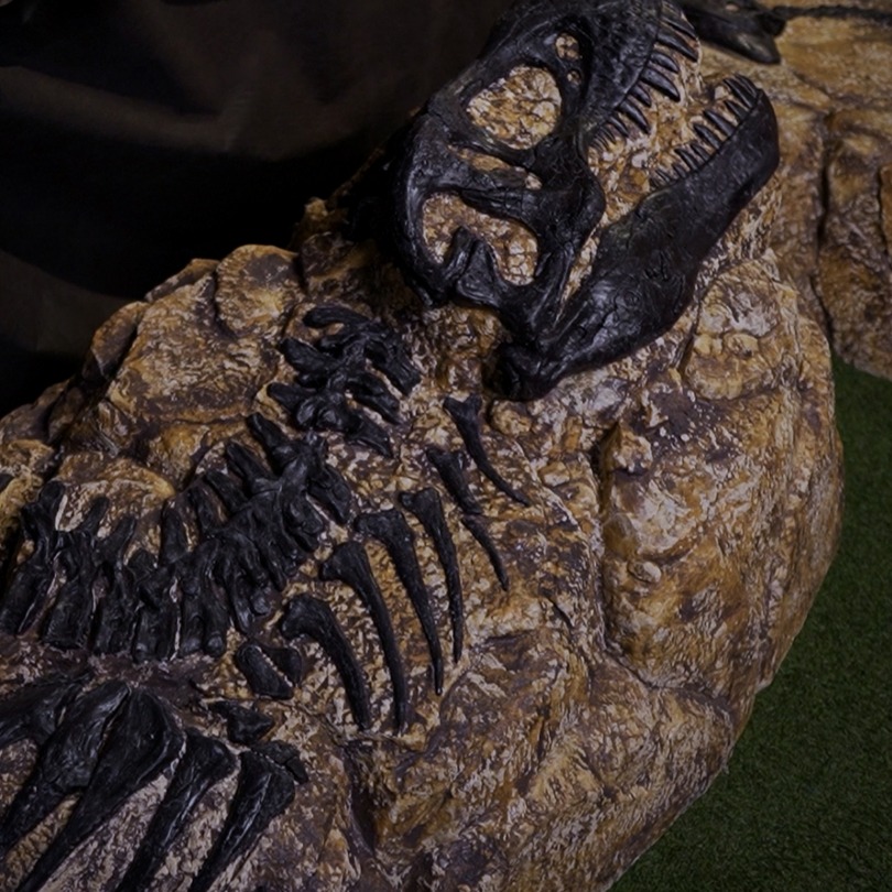Tyrannosaurus - foto de bajorrelieve estático disponible