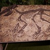 Koreaceratops - foto del bassorilievo statico disponibile