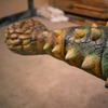 Брахиозавр - фото диношагалки в наличии