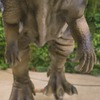 Pachycephalosaurus-photo of an animatronic figure available