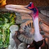 Quetzalcoatlus - foto de una figura estática disponible