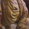 Triceratopo: foto della figura animatronica in stock