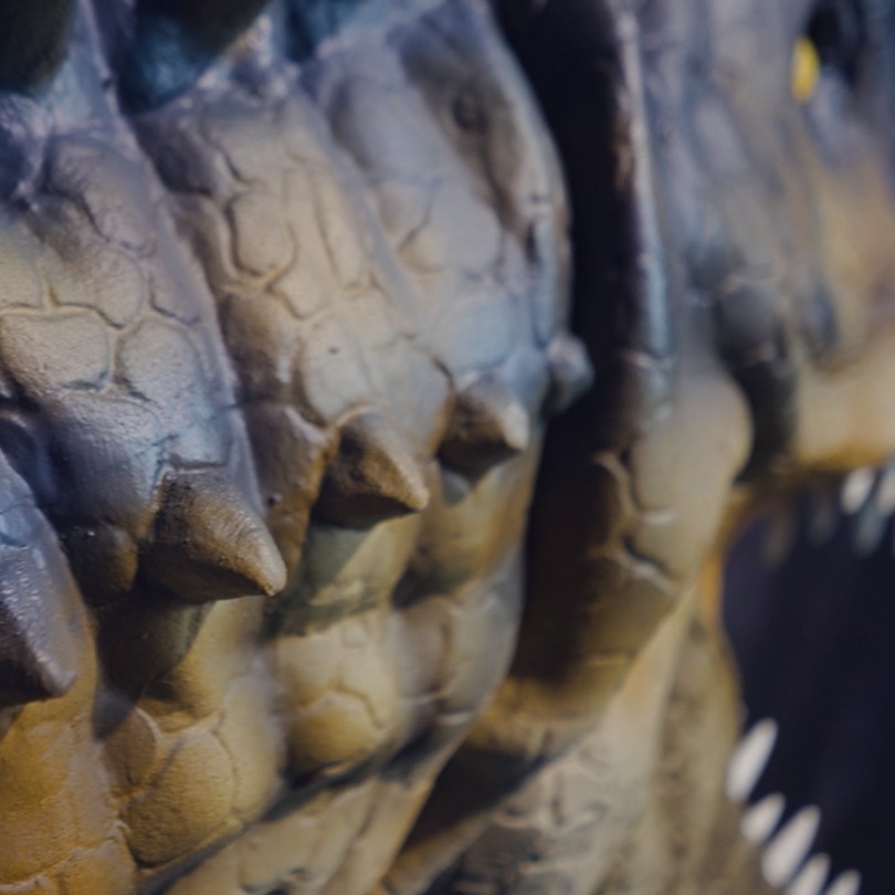 Allosaurus - foto de una figura animatrónica en stock