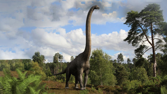 Брахіозавр