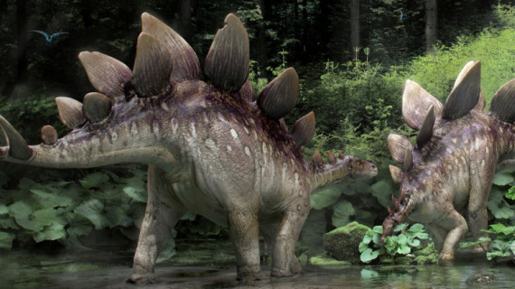 Stegosaurus flock at a waterhole