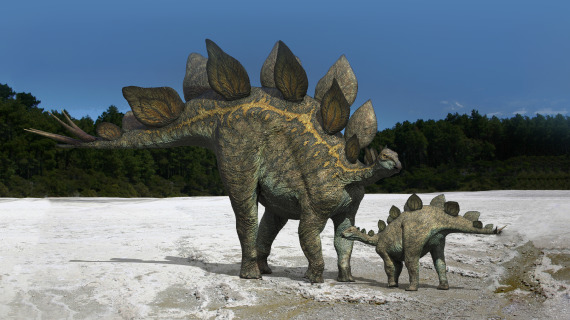 Стегозавры