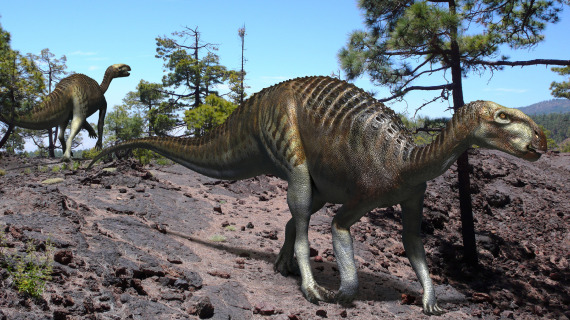 Тенонтозавры