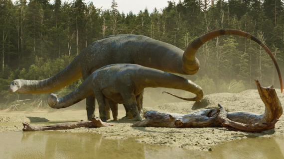 Famille des alamosaurus