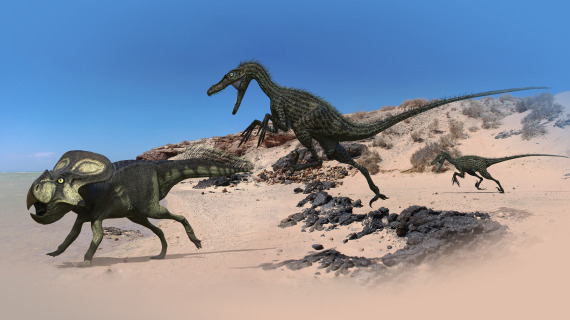 Velociraptor hunt for Protoceraptops