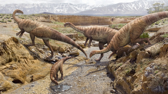 Plateosaures en traversée
