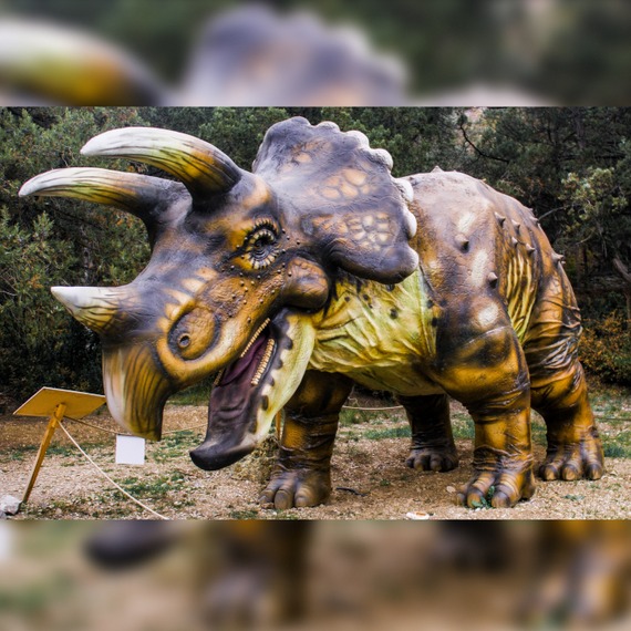 Triceratops animatronic