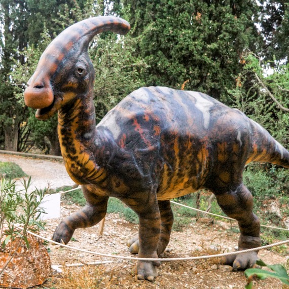Parasaurolophus photo