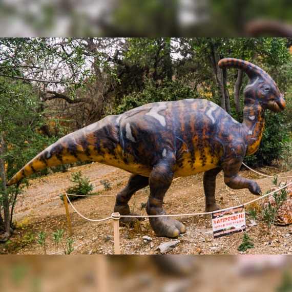 Parasaurolophus photo
