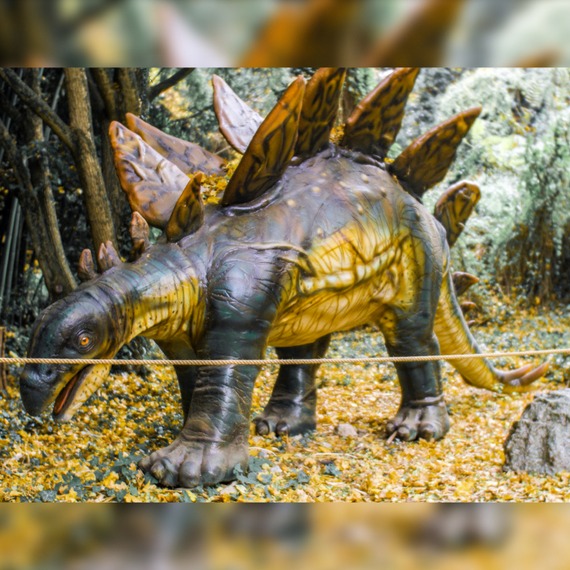 Стегозавр фота