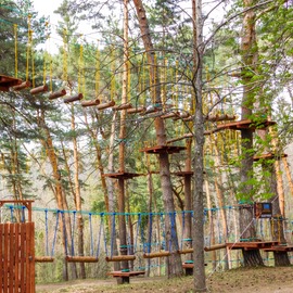 Rope park on trees in Kislovodsk