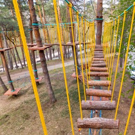 Веревочный парк на деревьях в Кисловодске