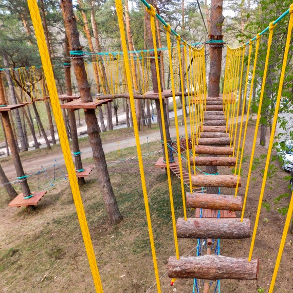 Веревочный парк на деревьях в Кисловодске фото