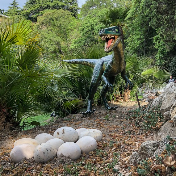 Velociraptors photo