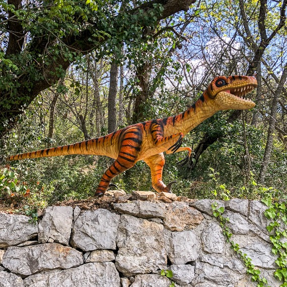 Velociraptors foto