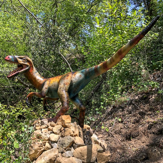 Velociraptors foto