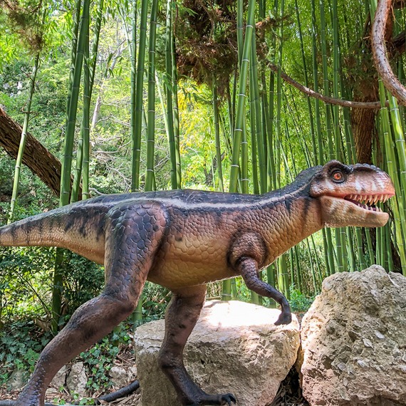 Velociraptor 2.5 Meter