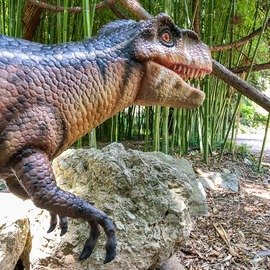 Velociraptor 2.5 Meter