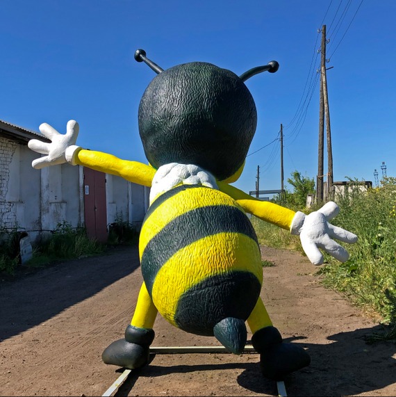 Bienen und der Bär Medyn Photo