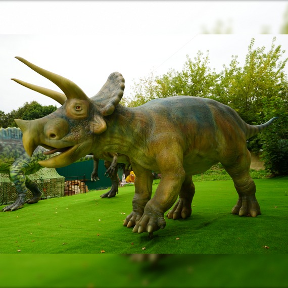 Allosaurus und Triceratops Photo