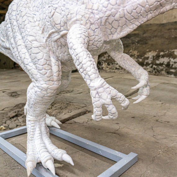 Allosaurus static 6m and 3m photo