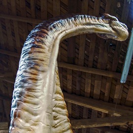 Brachiosauro statico 9m