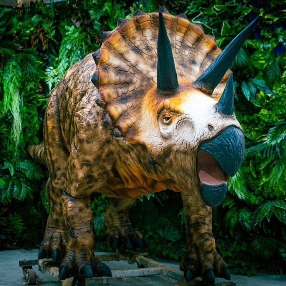Triceratops Le travail que nous réalisons avec les figures est très varié