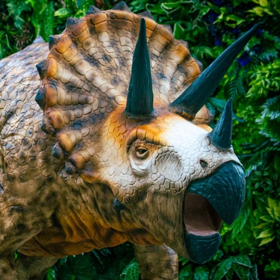 Triceratops Realizamos cualquier trabajo integral con figuras