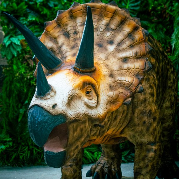 Triceratops foto